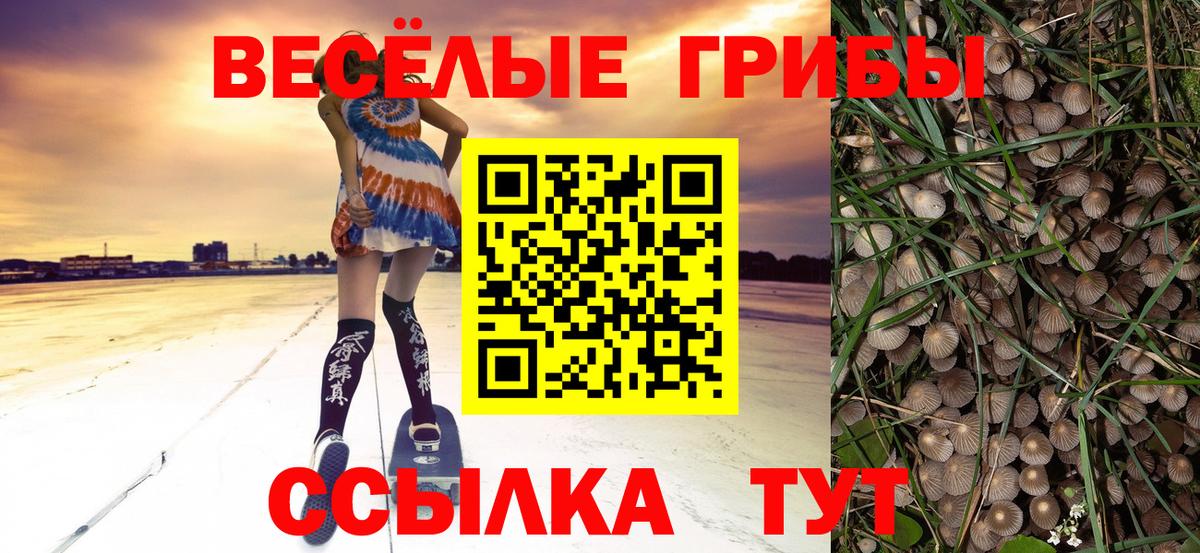Обь  Псилоцибиновые грибы ЛСД  Вход с VPN 