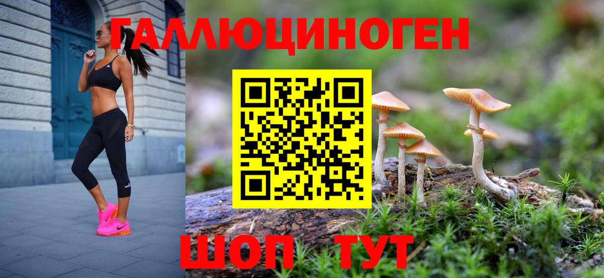Галлюциногенные грибы мицелий Обь