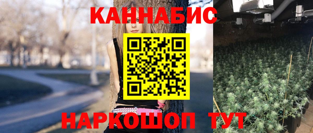 Конопля ГИДРОПОН Обь